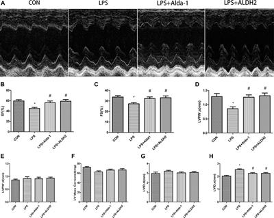 Aldehyde Dehydrogenase 2 Protects Against Lipopolysaccharide-Induced Myocardial Injury by Suppressing Mitophagy